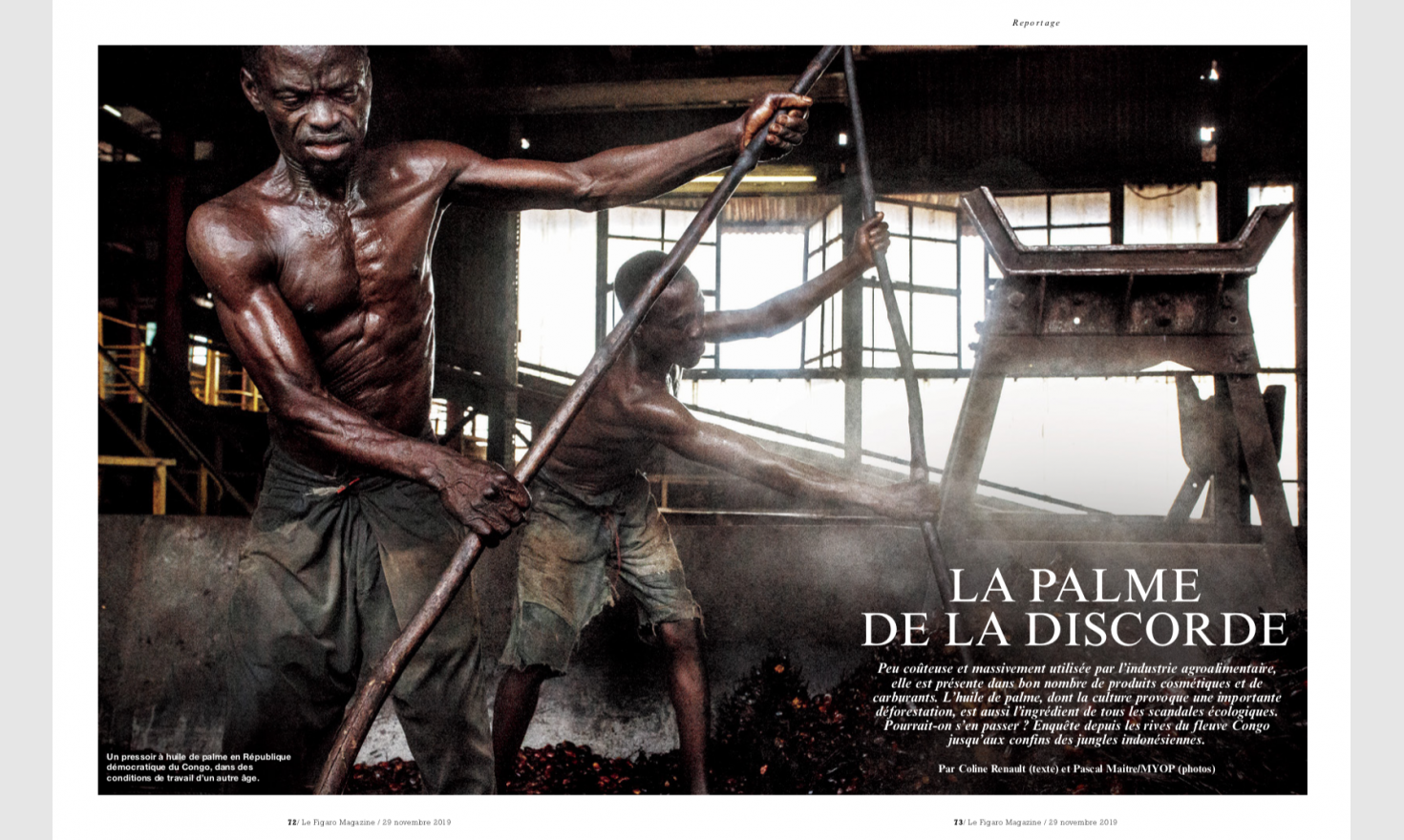 Le Figaro Magazine - Huile de Palme © Pascal Maitre / MYOP