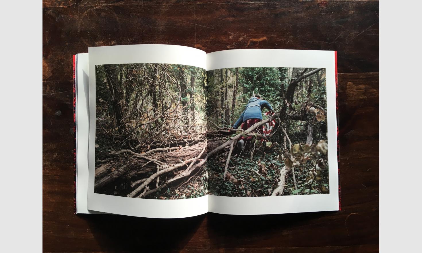 Le temps des hommes. Le bois sauvage, Tome 2