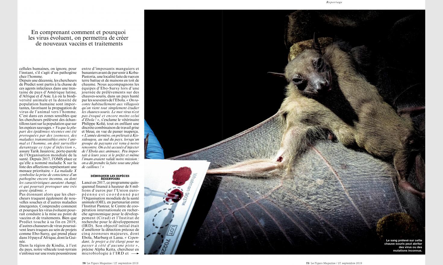 Fig Mag_Chasseurs de virus_04