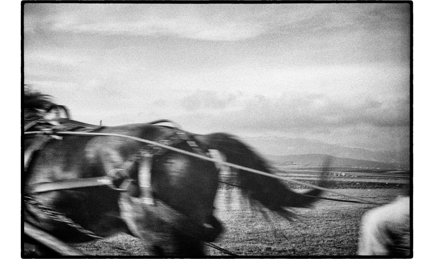 © Alain Keler / MYOP Kosovo, 2008.
