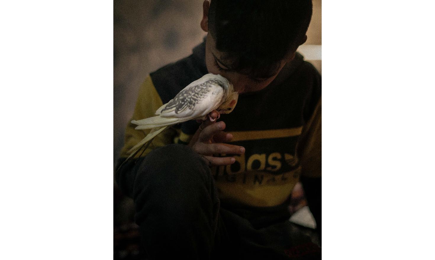 A young boy and his bird. Bassrah, Southern Iraq.