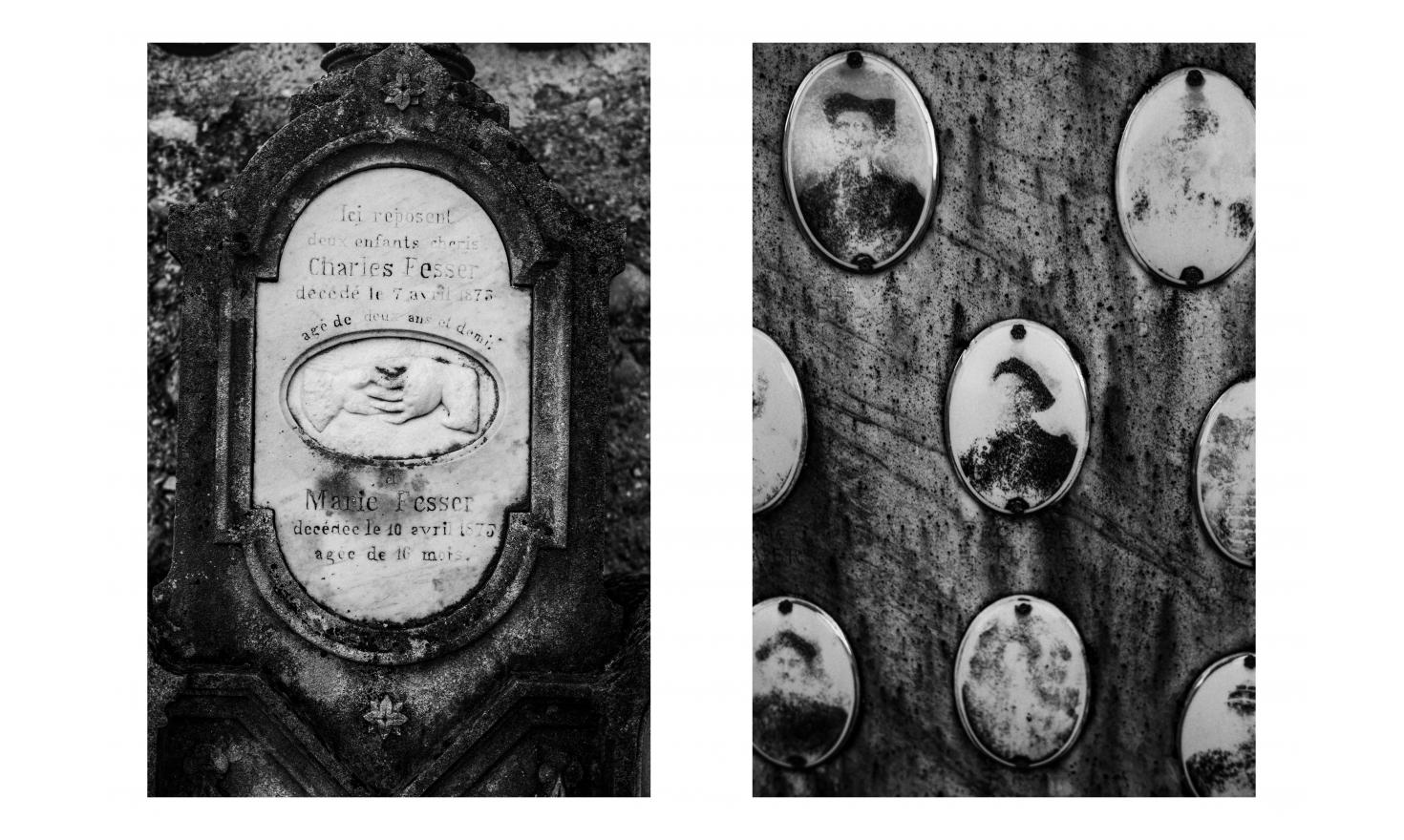 les terres froides les terres froides