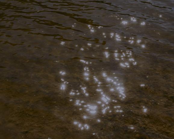Lac de Corde Tolozane, Mai 2022 près de Larrazet, où W. va souvent se baigner avec son fils. Mai 2022.
